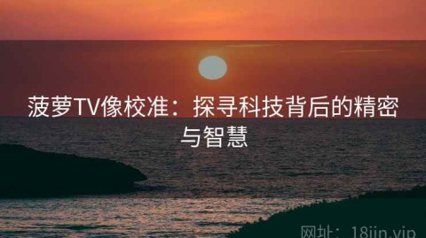 菠萝TV像校准：探寻科技背后的精密与智慧