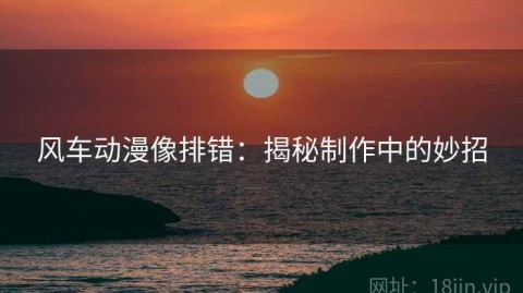 风车动漫像排错：揭秘制作中的妙招