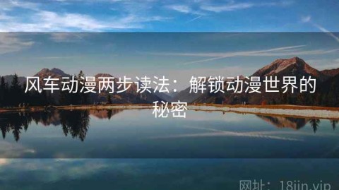 风车动漫两步读法：解锁动漫世界的秘密