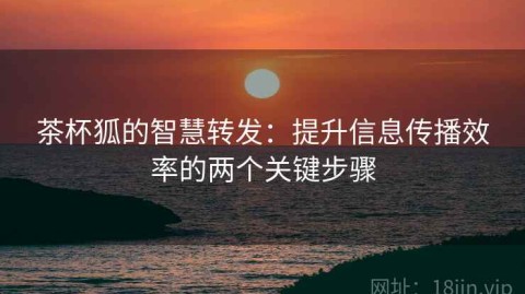 茶杯狐的智慧转发：提升信息传播效率的两个关键步骤