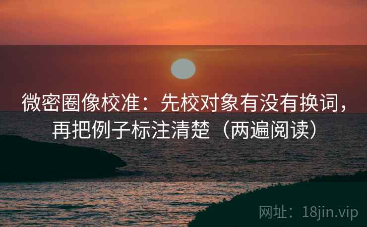 微密圈像校准：先校对象有没有换词，再把例子标注清楚（两遍阅读）