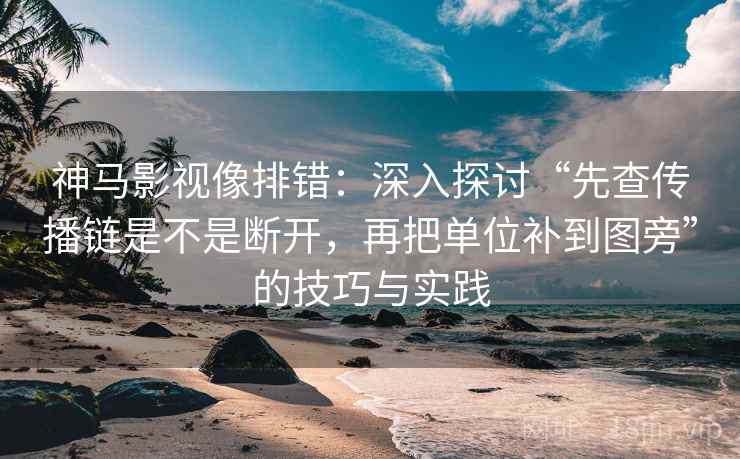 神马影视像排错：深入探讨“先查传播链是不是断开，再把单位补到图旁”的技巧与实践